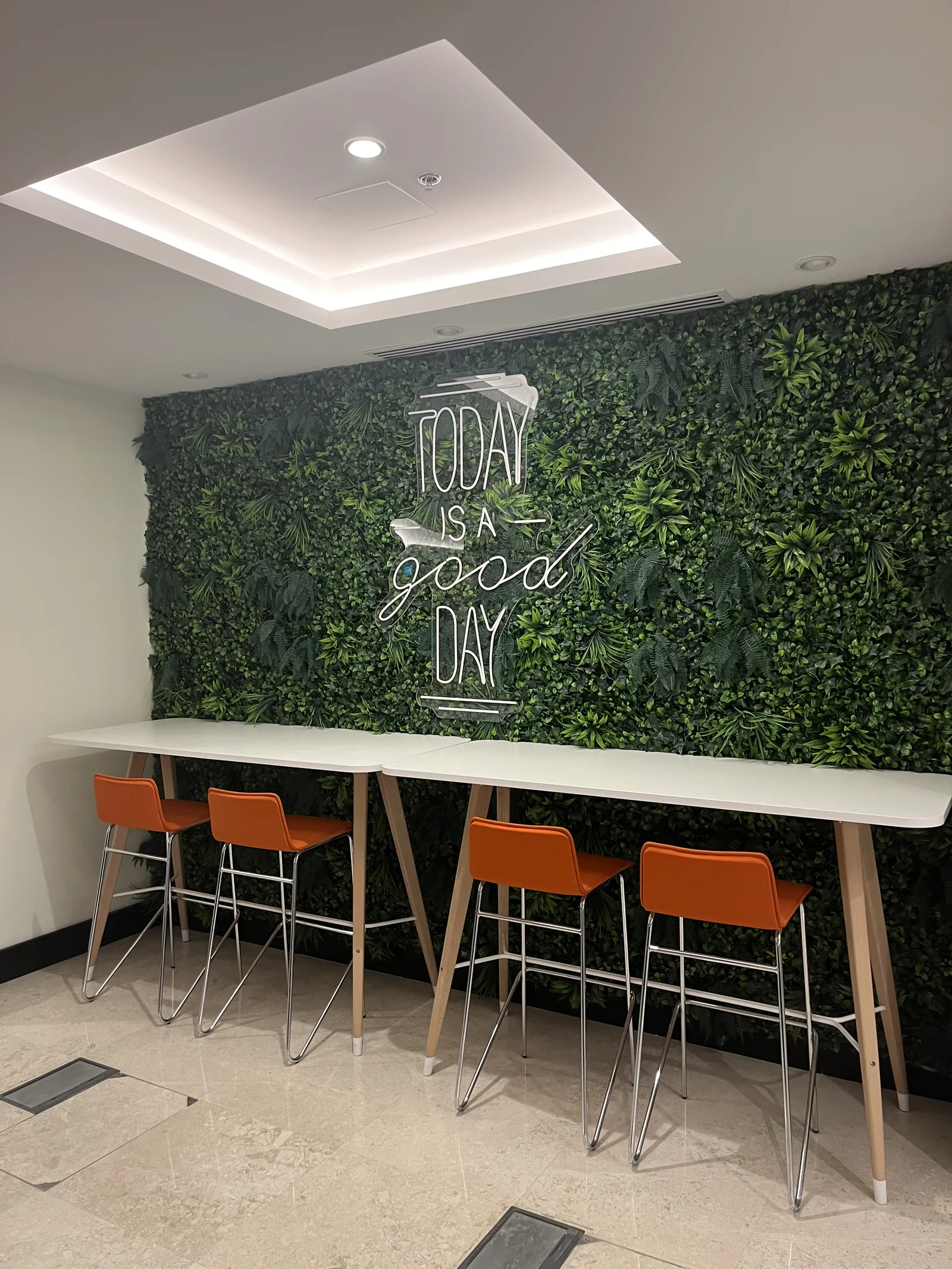 Green feature wall and high work table at Orfloat Corporate Office
